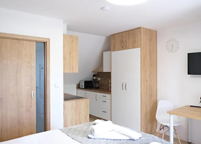 Apartmanovy Dum Na Kolonade 雷德尼斯